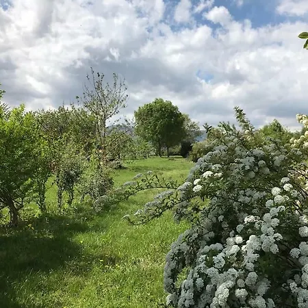 Appartamento Charming House With Huge Garden Ciriè