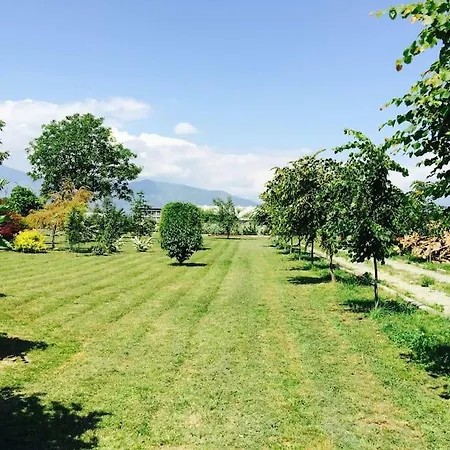 Appartamento Charming House With Huge Garden *